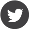 Twitter Logo